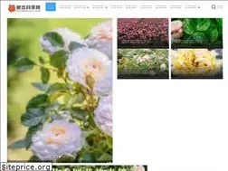 Sites similar to tengbenyueji.com