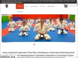 Sites similar to tengu.pro