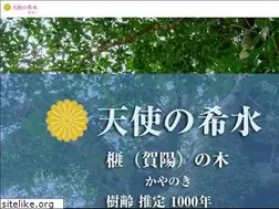 Sites similar to tenshino-kisui.com