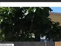 Sites similar to tensile.co.in