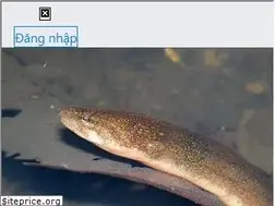 Sites similar to tepbac.com