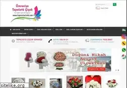 Sites similar to tepeustucicek.com