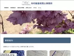 Sites similar to teramura-tax.com