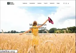 Sites similar to terapiistanbul.com