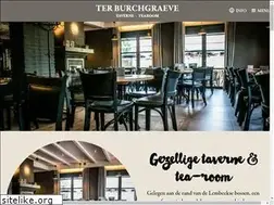 Sites similar to terburchgraeve.be