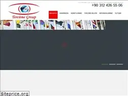 Sites similar to tercumegroup.com