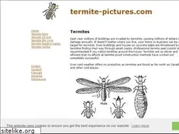 Sites similar to termite-pictures.com
