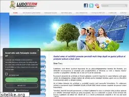 Sites similar to termomax.ro
