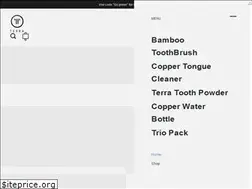 Sites similar to terrabrush.in