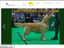 Sites similar to terradisienagolden.com