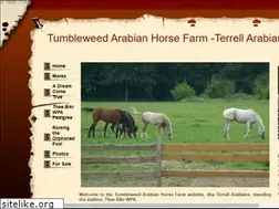 Sites similar to terrellarabians.com
