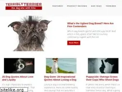 Sites similar to terriblyterrier.com