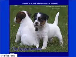 Sites similar to terrier-hamburg.de
