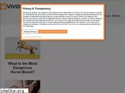 Sites similar to terrific-horses.com