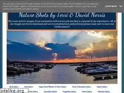 Sites similar to terrinorris.net