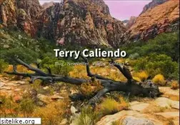 Sites similar to terrycaliendo.com