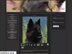 Sites similar to tervueren-amira.de