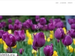 Sites similar to terzaghi.it