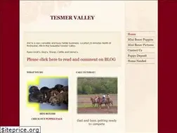 Sites similar to tesmervalley.com