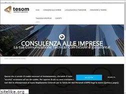 Sites similar to tesom.com