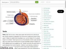 Sites similar to testis.gen.tr