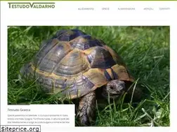 Sites similar to testudovaldarno.it