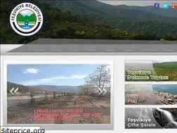 Sites similar to tesvikiye.bel.tr