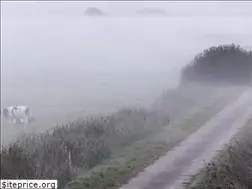 Sites similar to teufelsmoor.eu