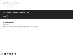 Sites similar to texascatholicsuperstore.com
