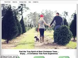 Sites similar to texaschristmastrees.com