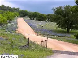 Sites similar to texasgoodsam.com
