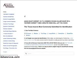 Sites similar to texashighplainsinsects.net