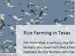 Sites similar to texasricefarming.org