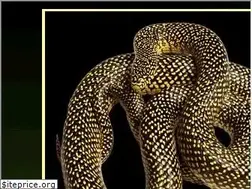 Sites similar to texassnakes.net