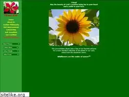 Sites similar to texasstar.org