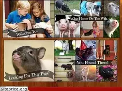 Sites similar to texastinypigs.com