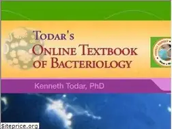 Sites similar to textbookofbacteriology.net