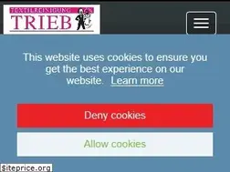 Sites similar to textilreinigung-trieb.de