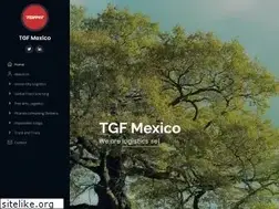 Sites similar to tgfmexico.com