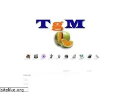 Sites similar to tgm.ro