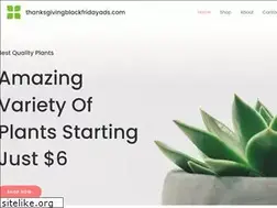 Sites similar to thanksgivingblackfridayads.com