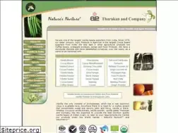 Sites similar to tharakanandcompany.com