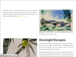 Sites similar to the-desert-wave.com