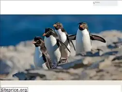 Sites similar to the-falkland-islands-co.com