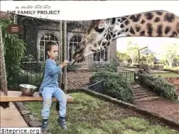 Sites similar to the-family-project.com