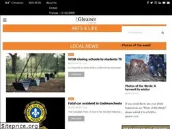 Sites similar to the-gleaner.com