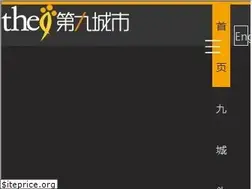Sites similar to the9.com