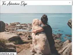 Sites similar to theadventuredogs.com