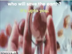 Sites similar to theairfoundation.org