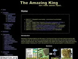 Sites similar to theamazingking.com